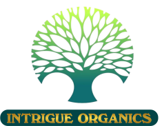 logointriguetransp